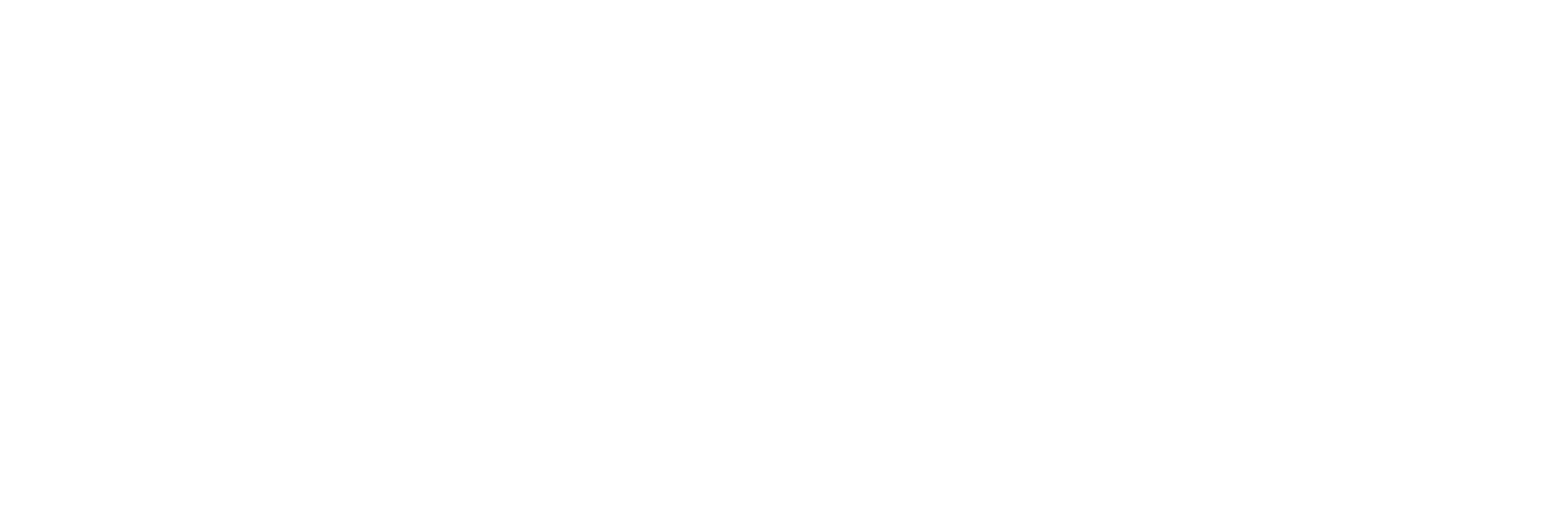 Núcleo de Sociología de la Salud